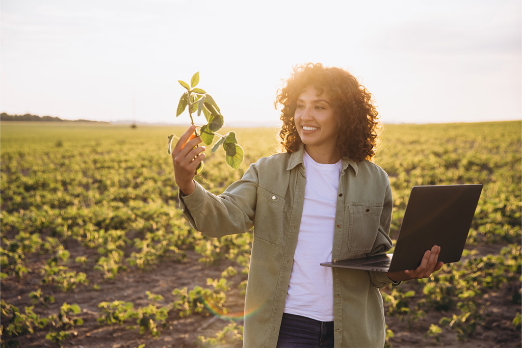 Como a inovação no agro pode ser financiada com incentivos fiscais?
